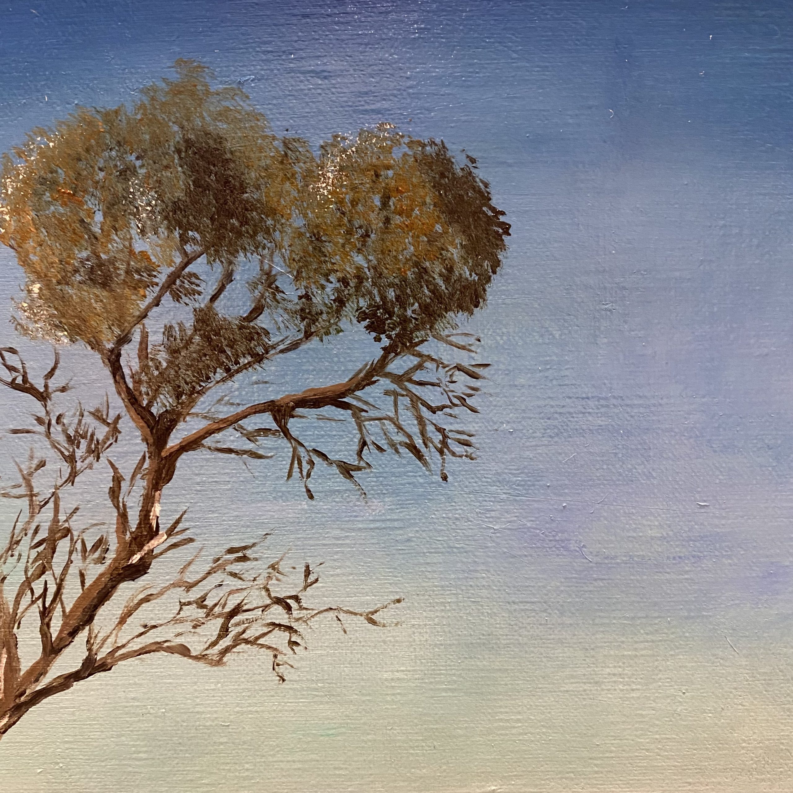 Sentinel Of The Bay Closeup1 Wendy Peters