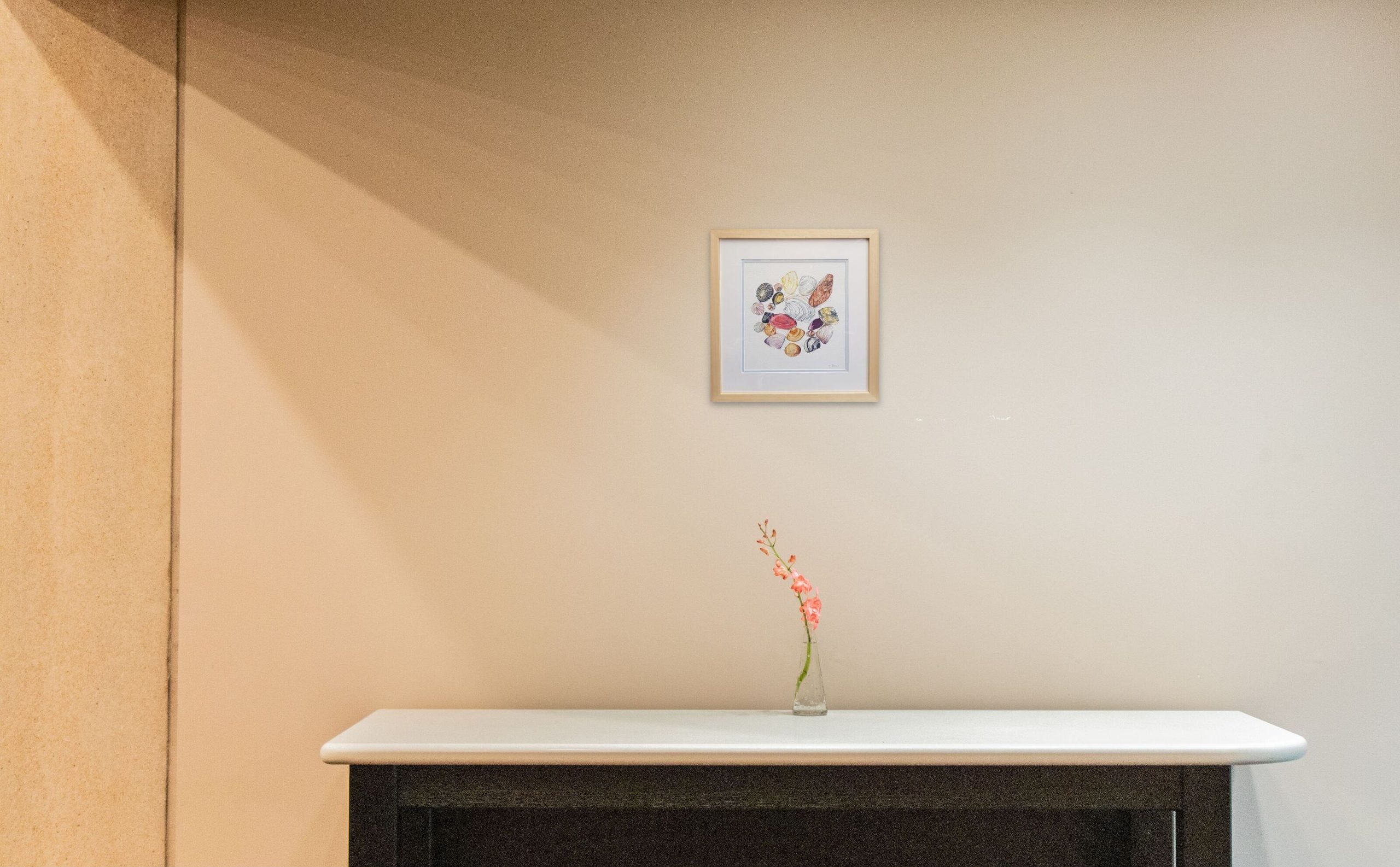 Circle Of Shells On Wall