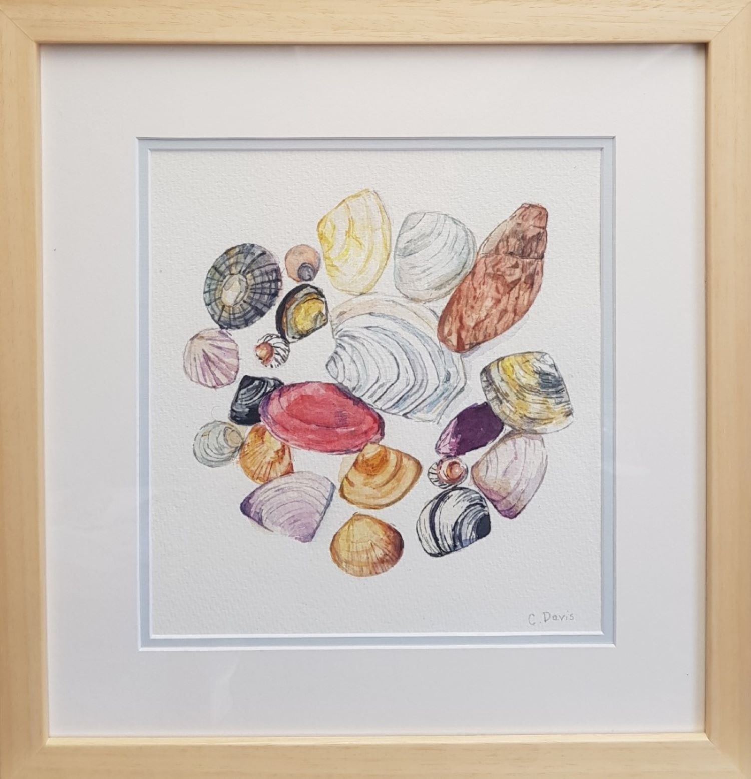 Circle Of Shells Framed For Saatchi