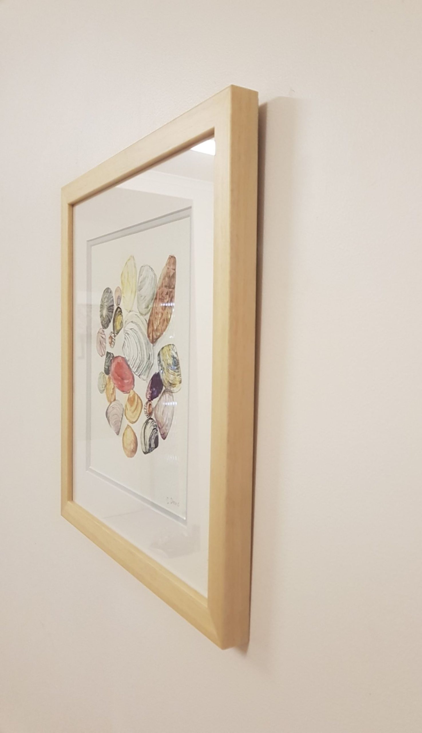 Circle Of Shells Edges For Saatchi