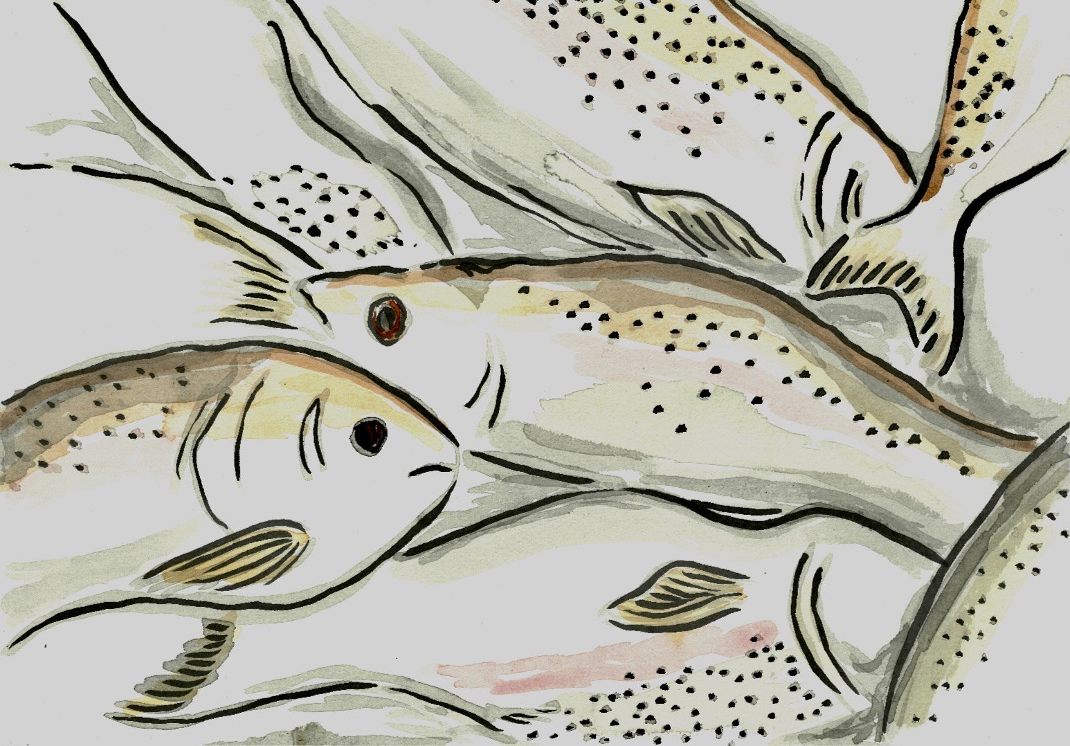 Image 123650291+(18)