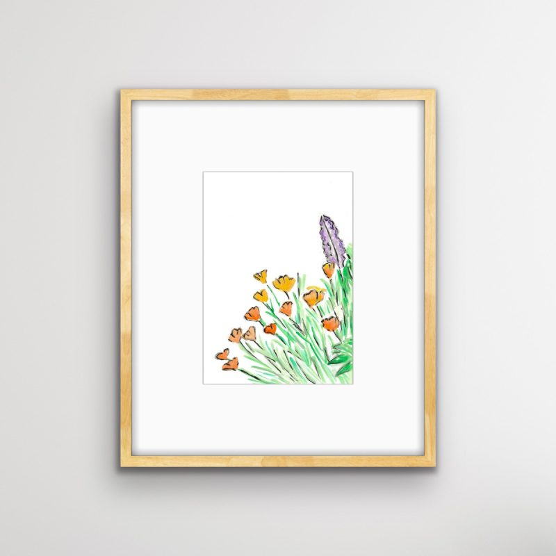 Salvia and California Poppy 2