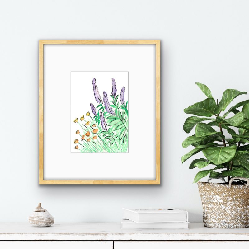 Salvia and California Poppy