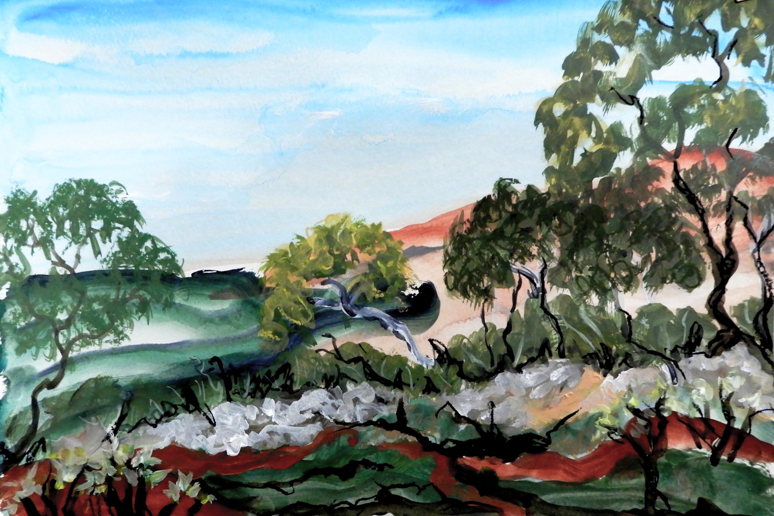 Doodieherman Scrub Country Landscape 029