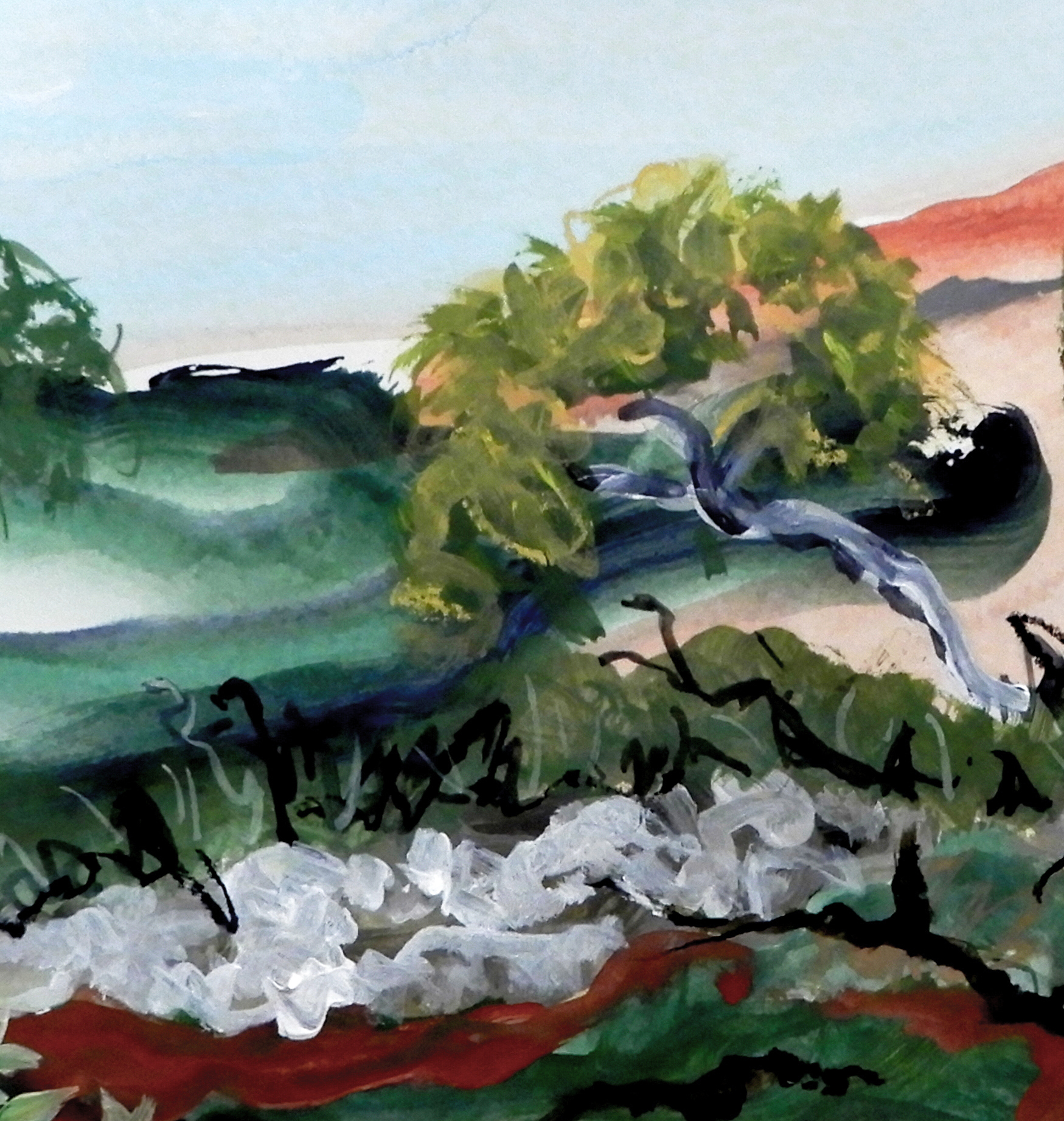 Doodieherman Scrub Country Landscape 034