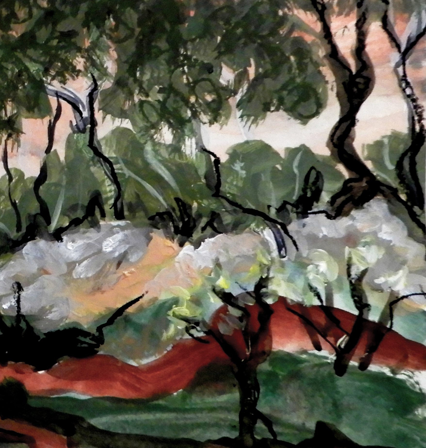 Doodieherman Scrub Country Landscape 035