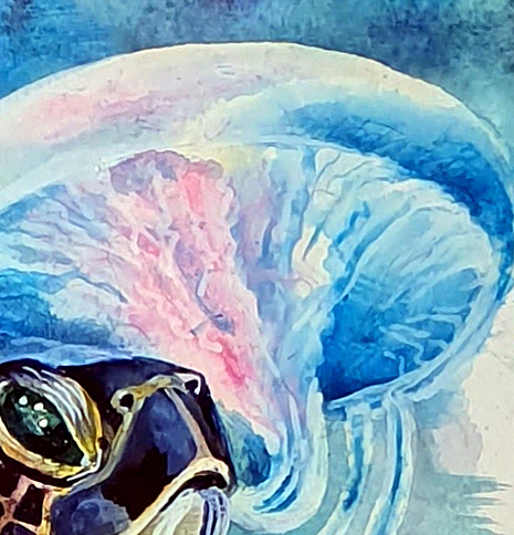 Tortoise And Jelly Fish Det6