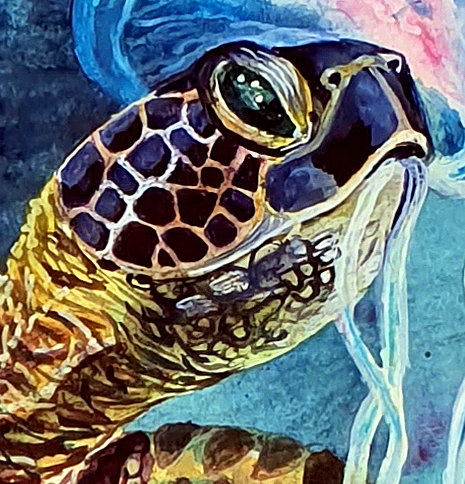 Tortoise And Jelly Fish Det7