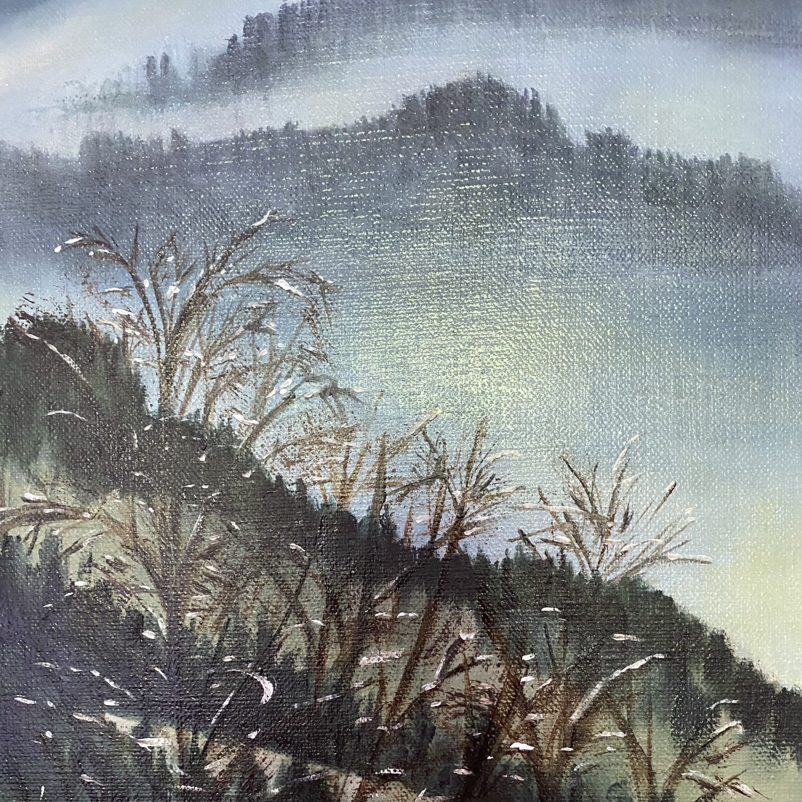 Cloudland Closeup Wendy Peters