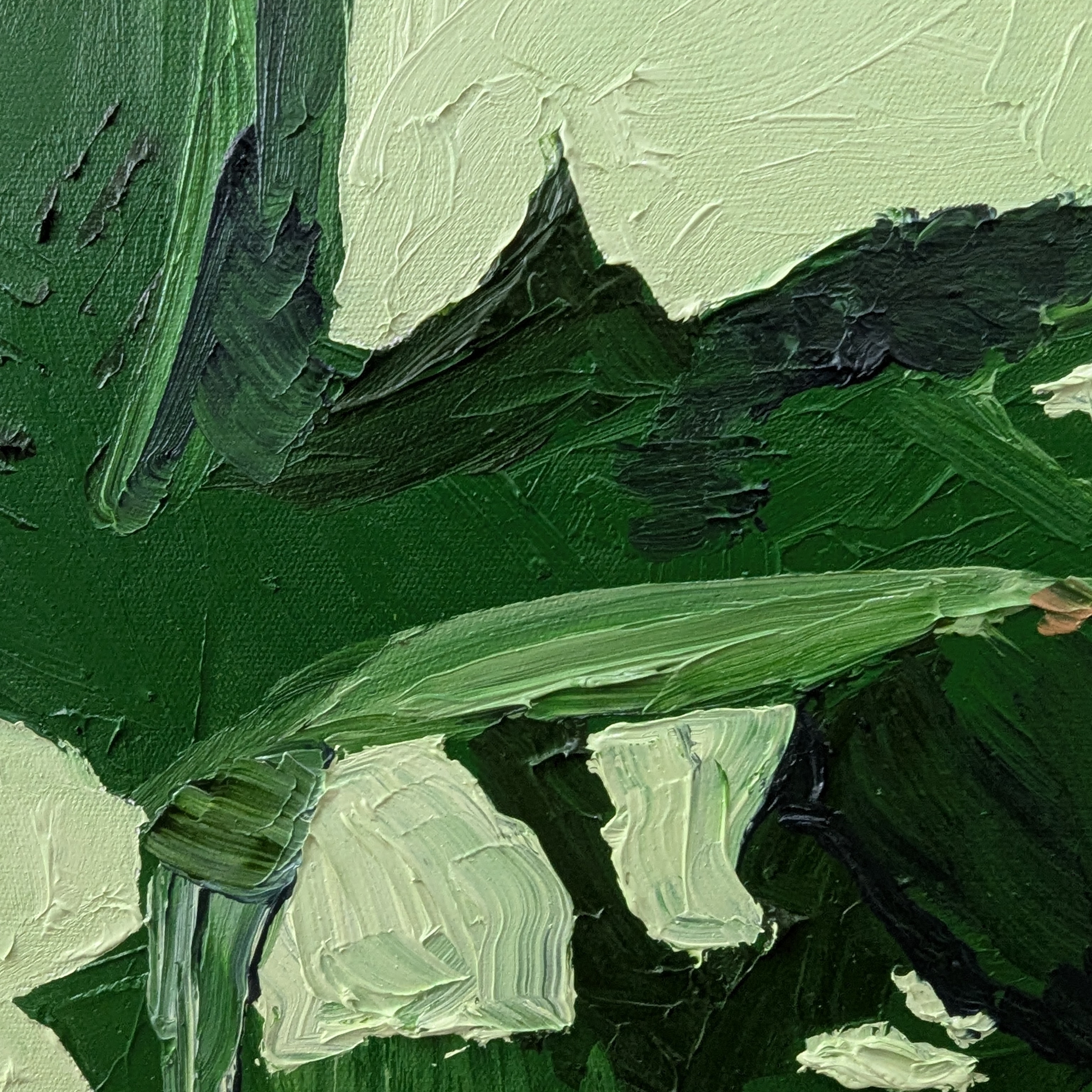 Sam Askin Yellow Rose Ala Shadows