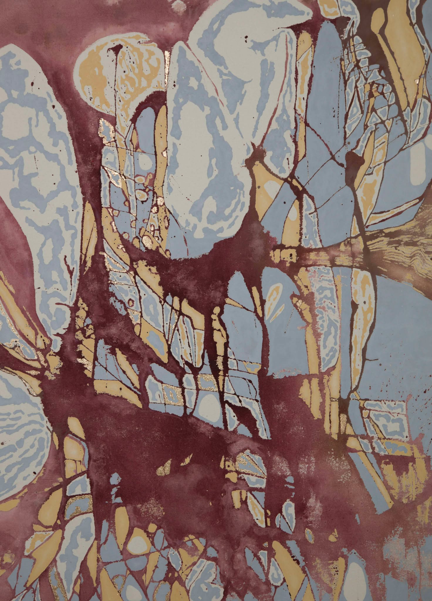 475038210 4095032764111334 6719112248441841157 N