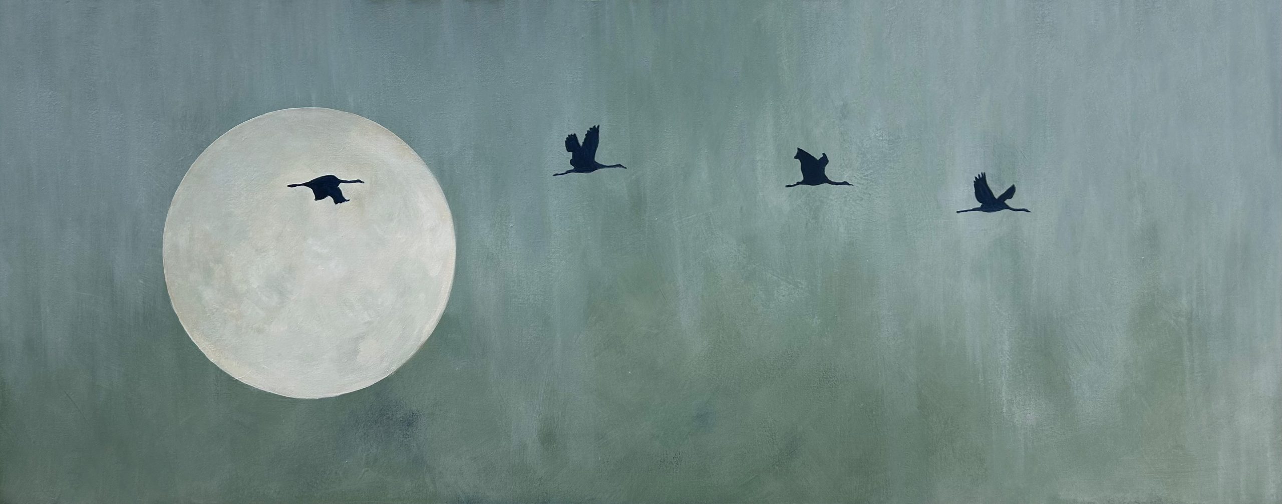 Brolga.moon