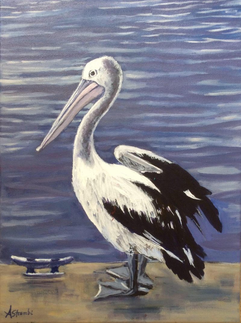 Pelican Portrait