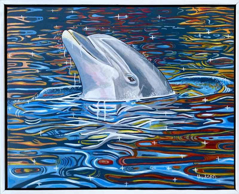 Dolphin in the Sunset