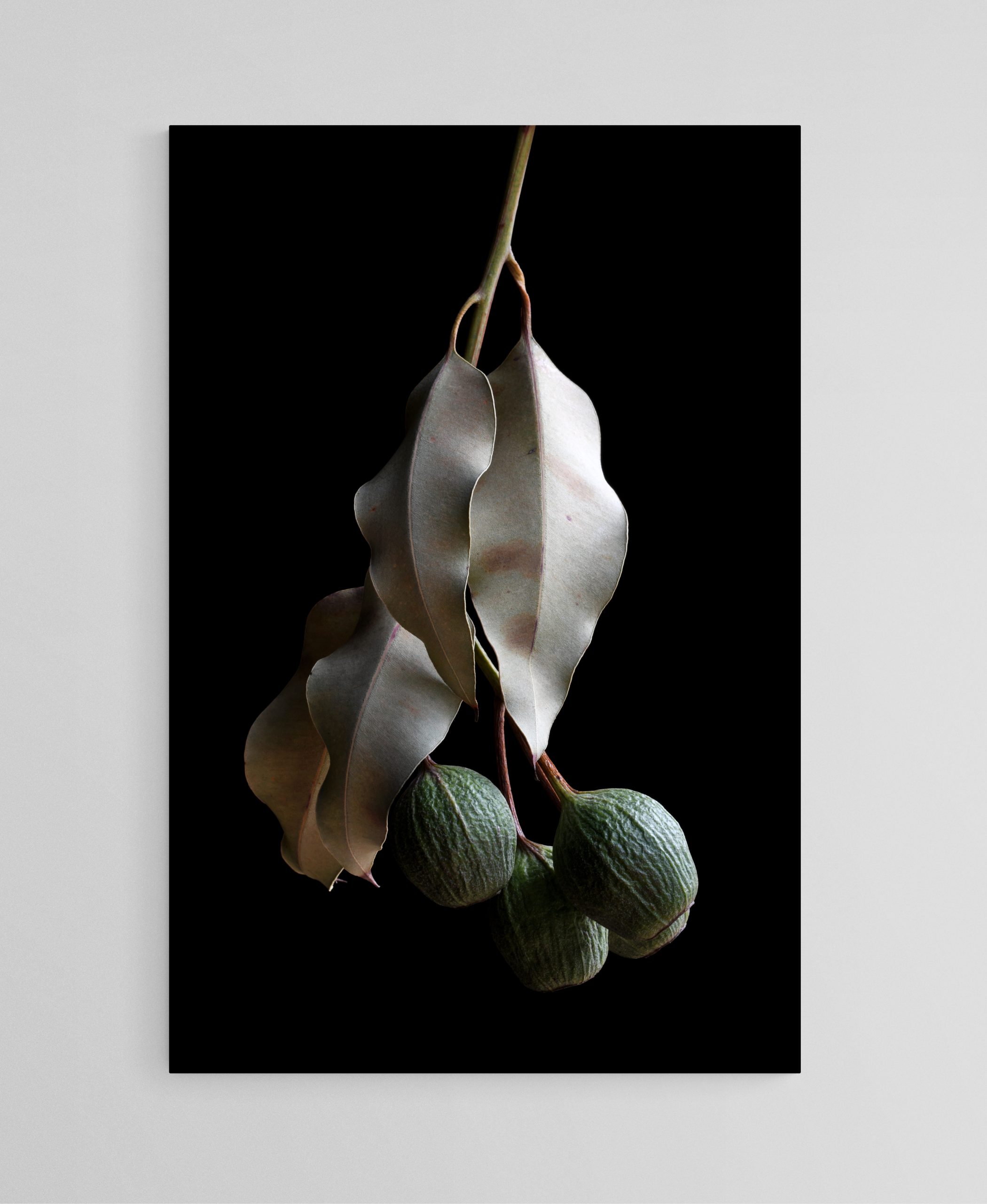 Empty Room 2024 12 16t174051.131