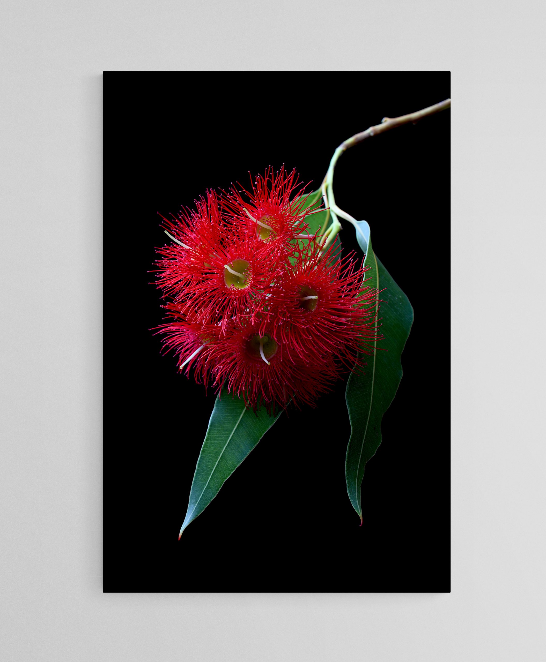 Empty Room 2025 01 20t150811.612