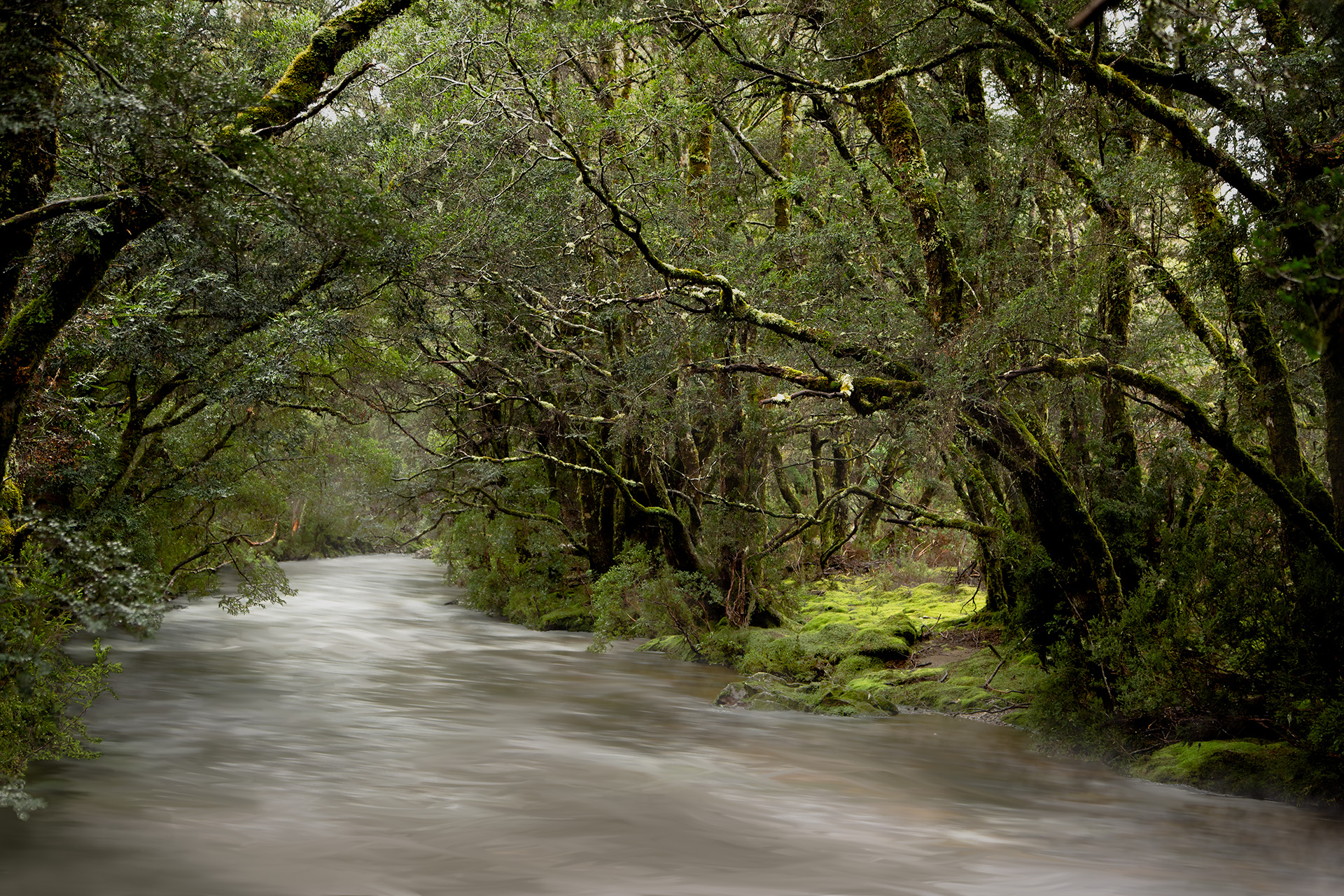 Tunneloflove 1920 Rgb