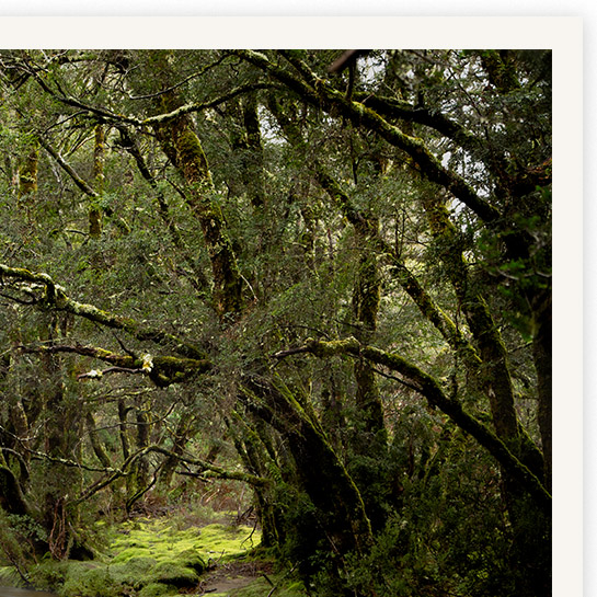 Tunneloflove Detail01