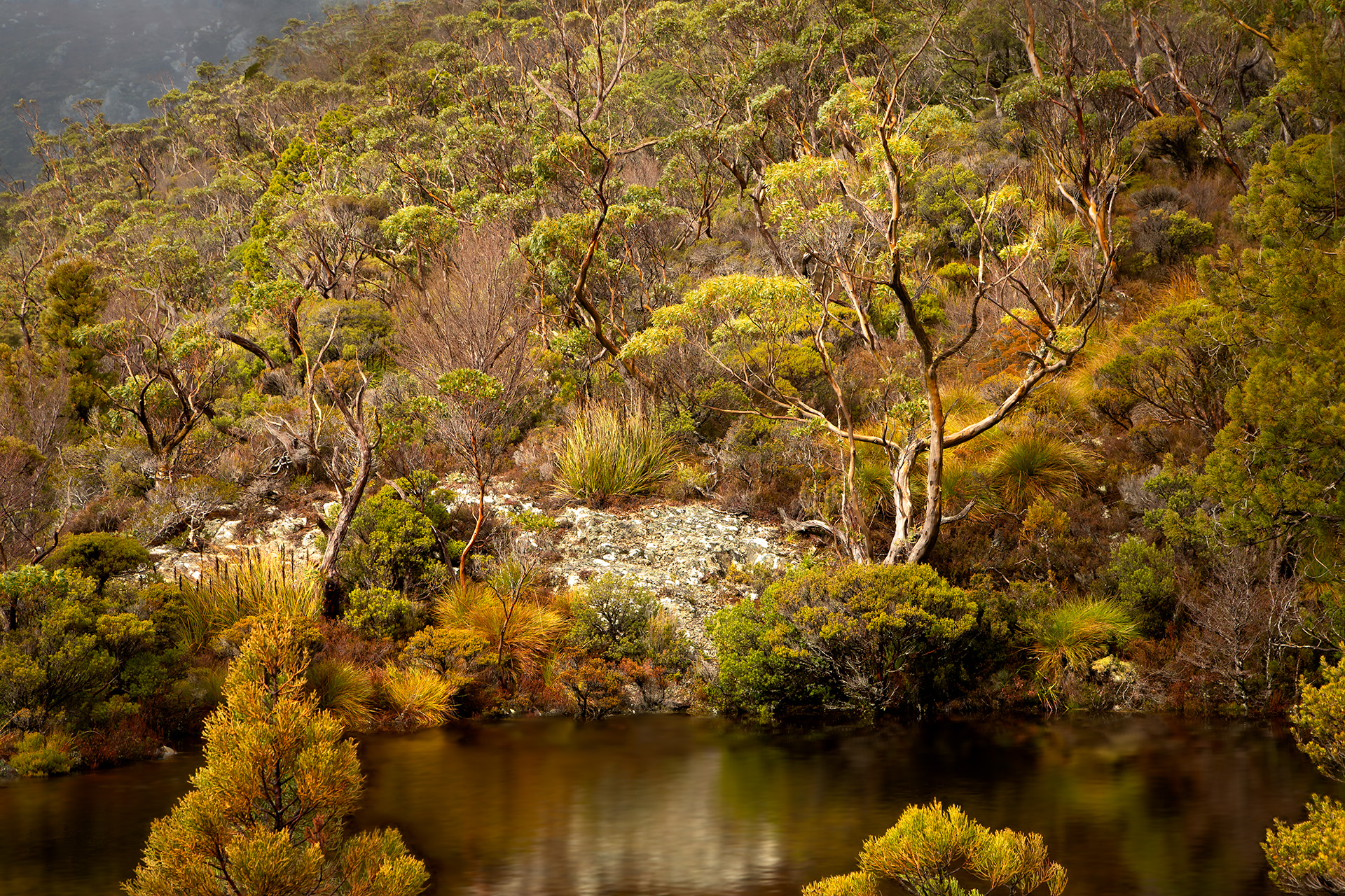 Anightattheopera 1920 Rgb