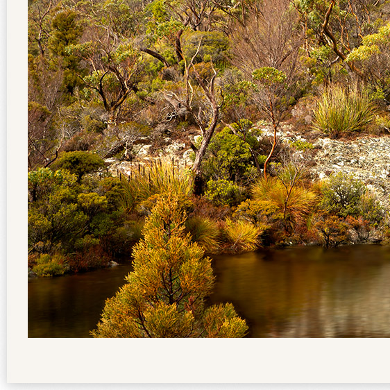 Anightattheopera Detail