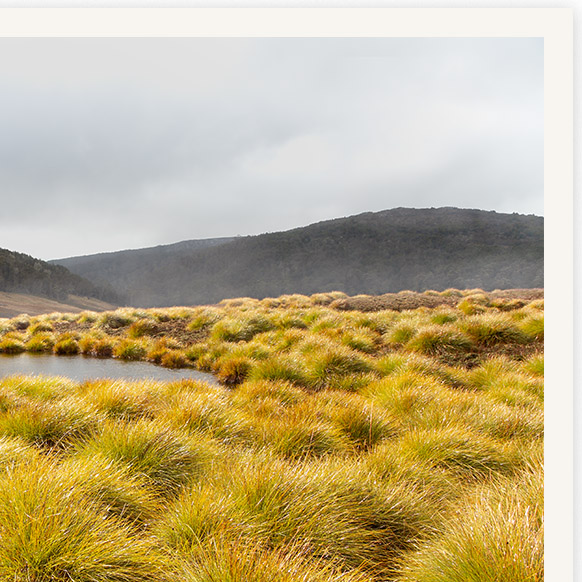 Aftertherain Detail01