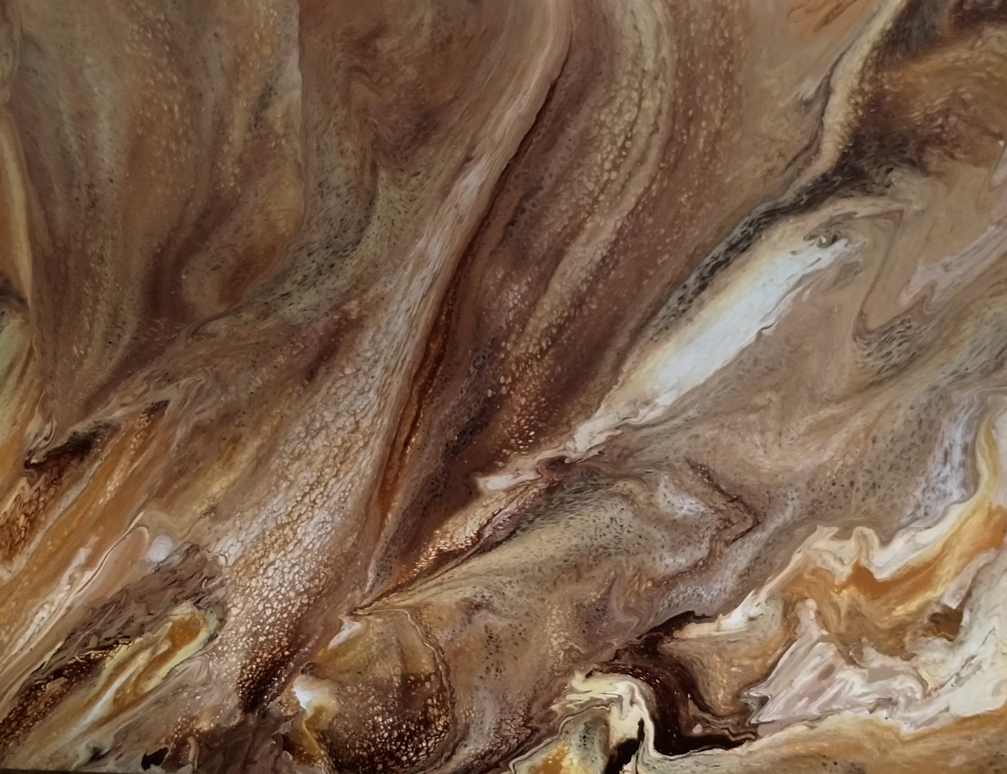 Img 20250209 084527490~3