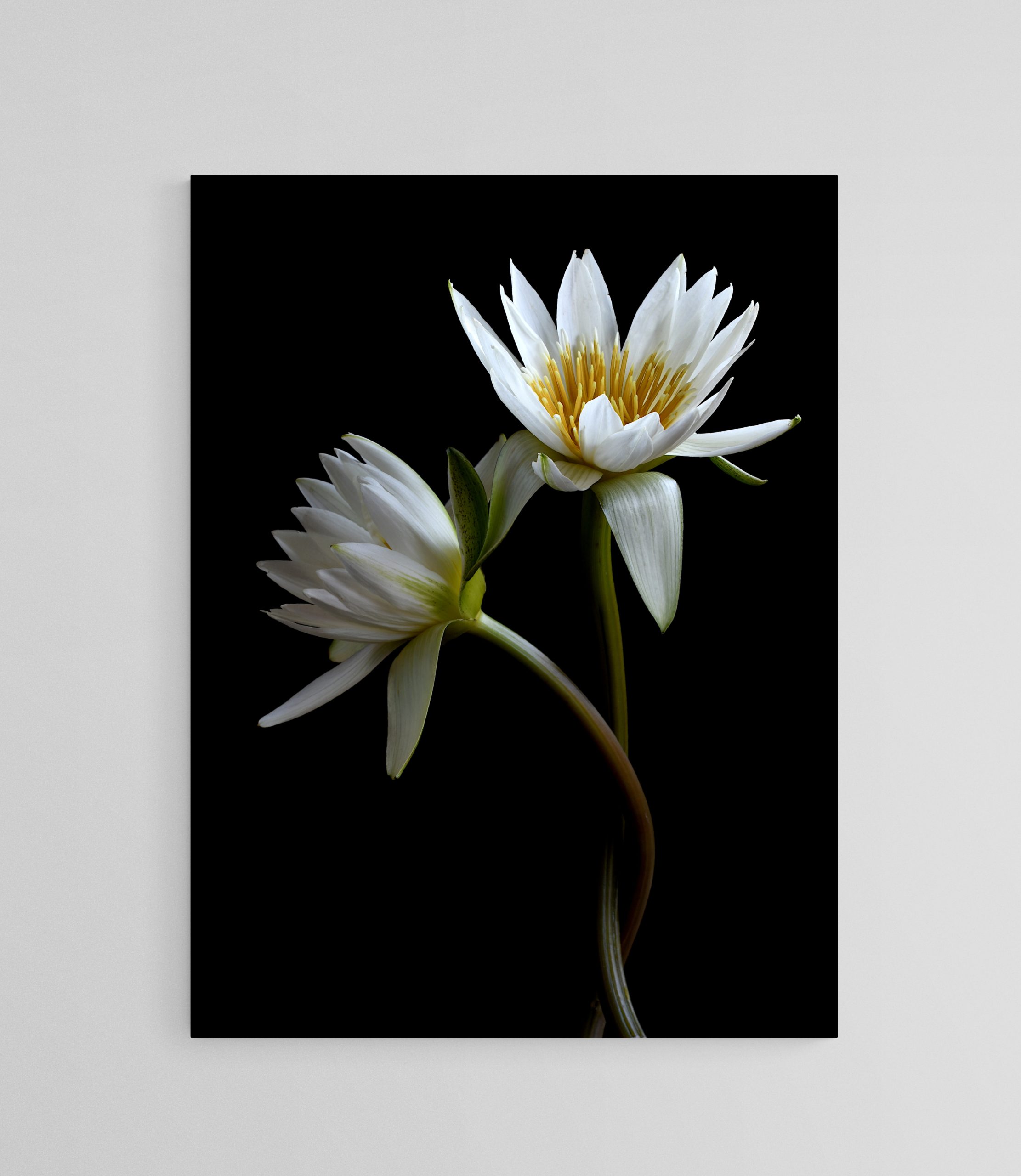 Empty Room 2025 01 19t131118.325