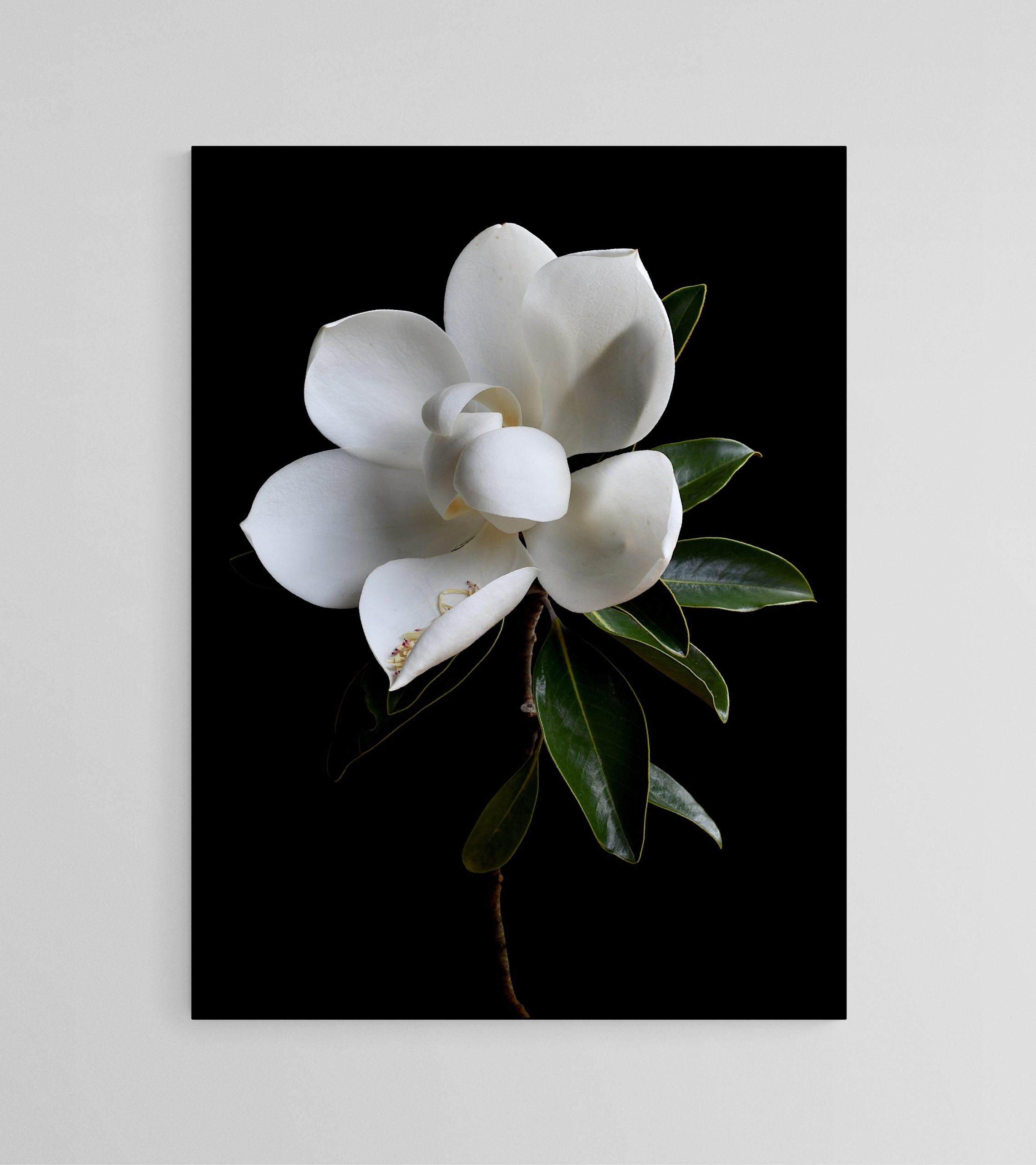 Empty Room 2025 02 06t130330.357