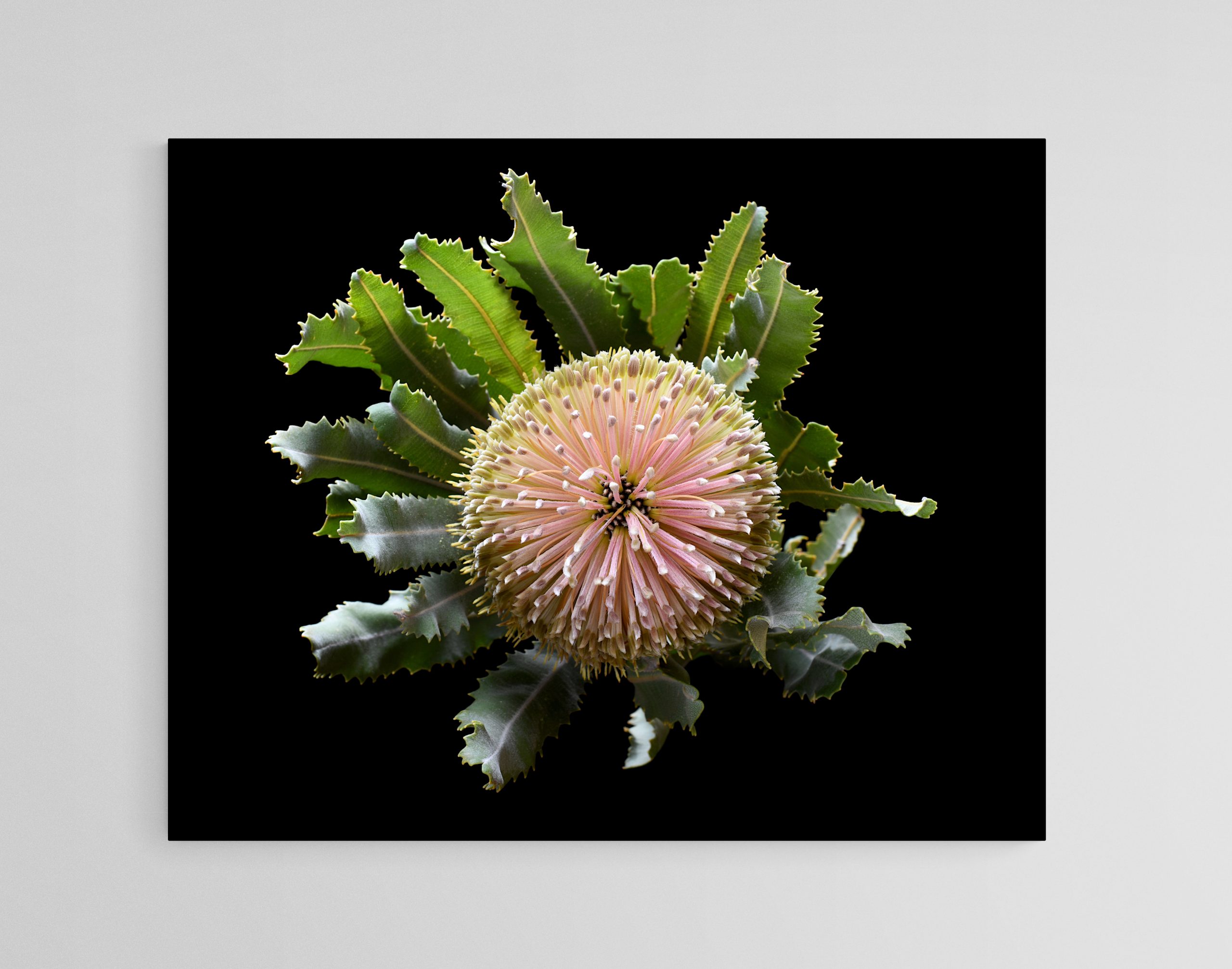 Empty Room 2025 02 08t180936.457