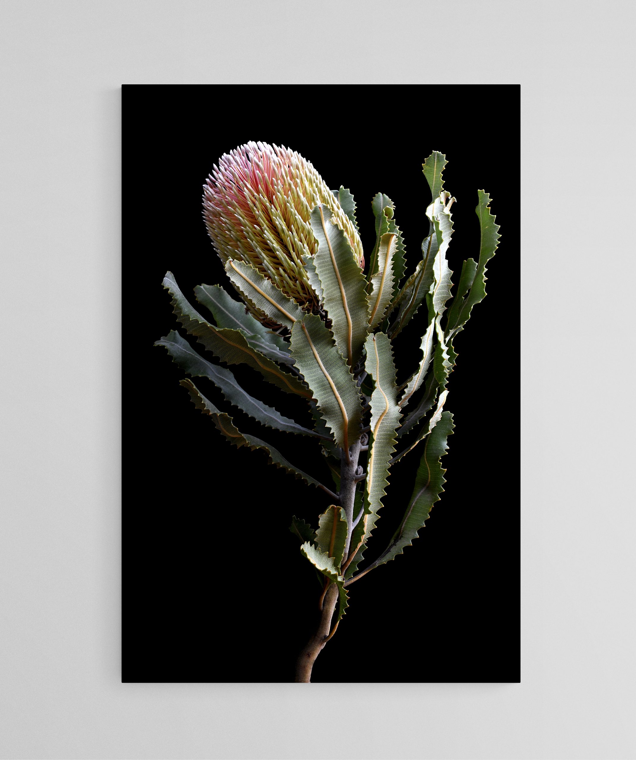 Empty Room 2025 02 04t102537.132