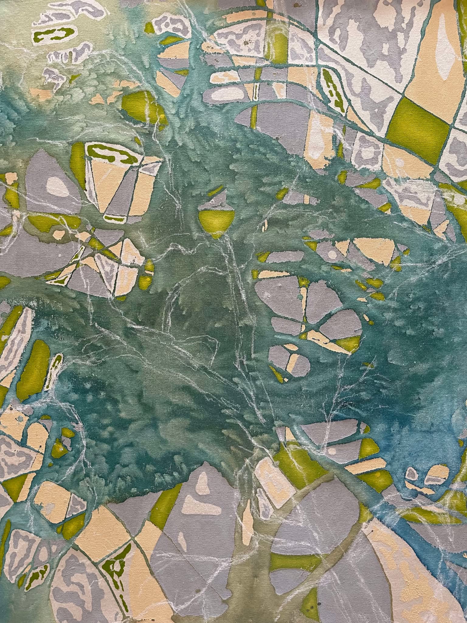 481037941 3682791362011099 5287738950416674148 N