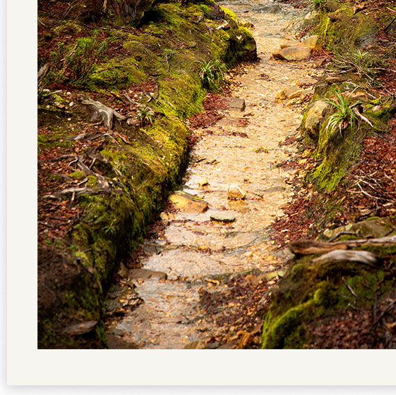 Theartistsway Detail