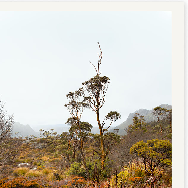 Alpine Heat Detail01