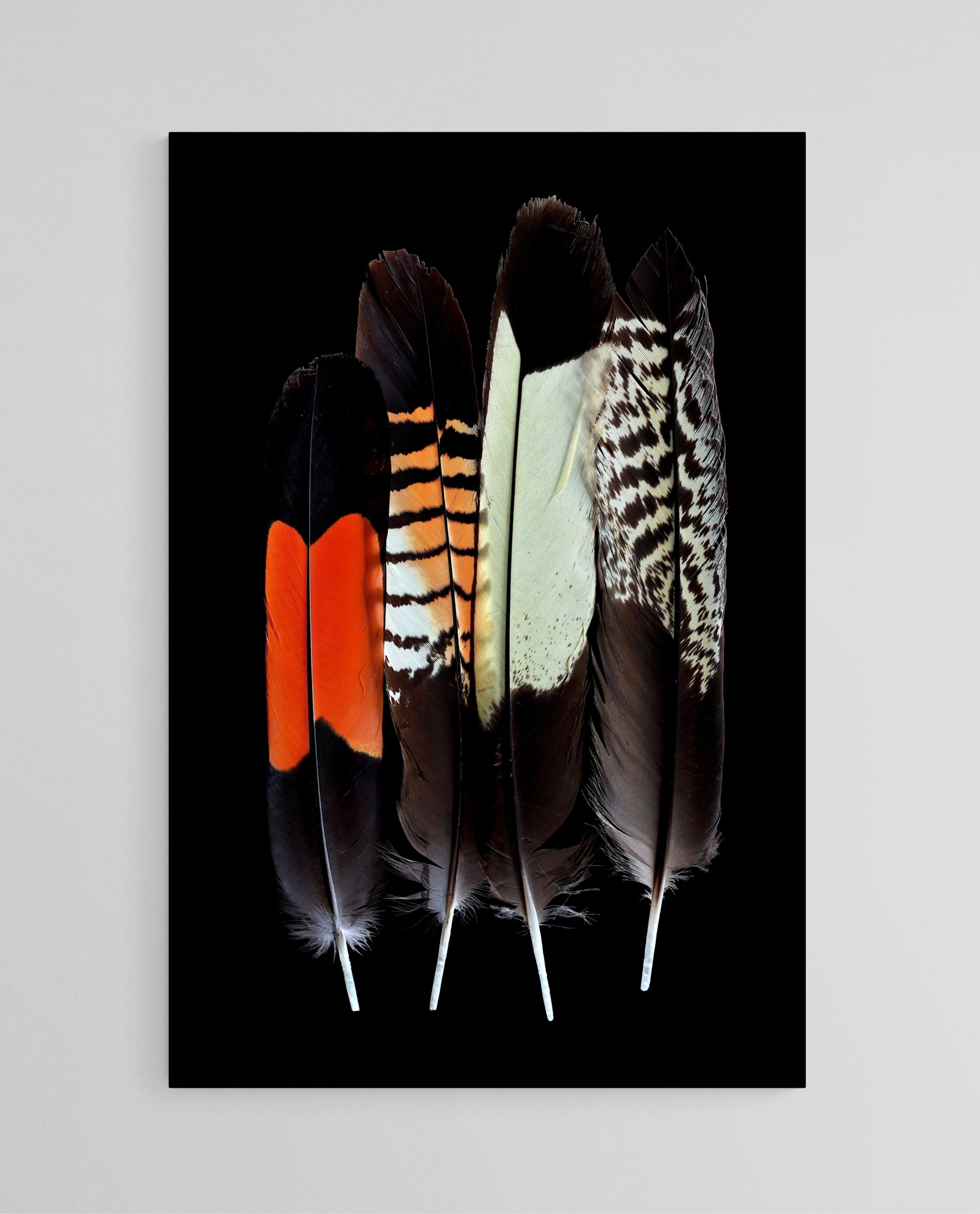 Empty Room 2025 02 27t135711.387