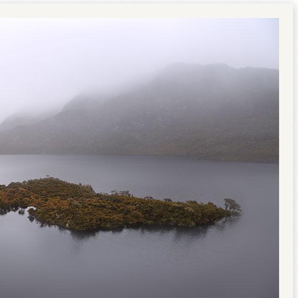 Wingsofadove Detail01