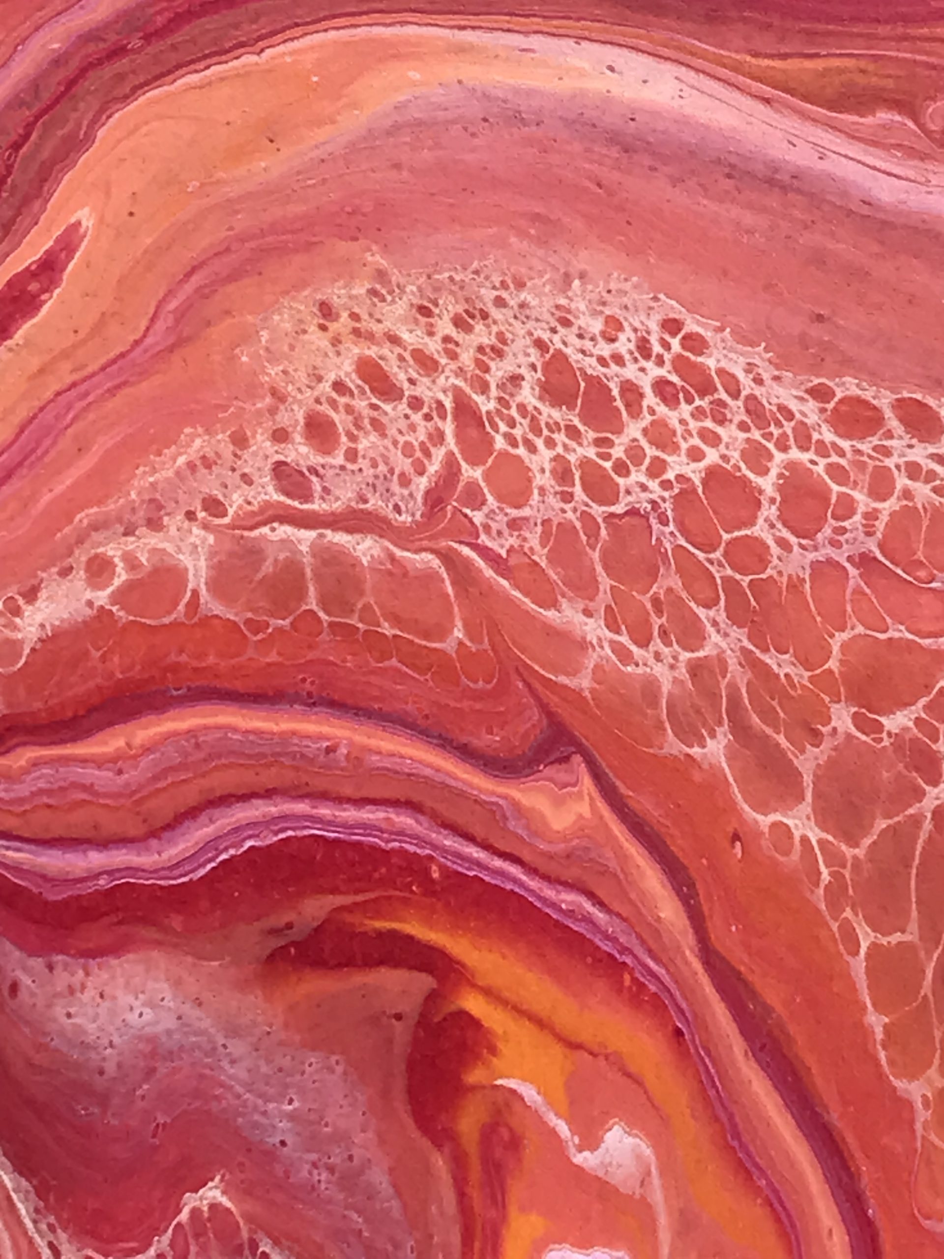 Fd712d90 8ab6 4c36 Bb2c 12490781445e