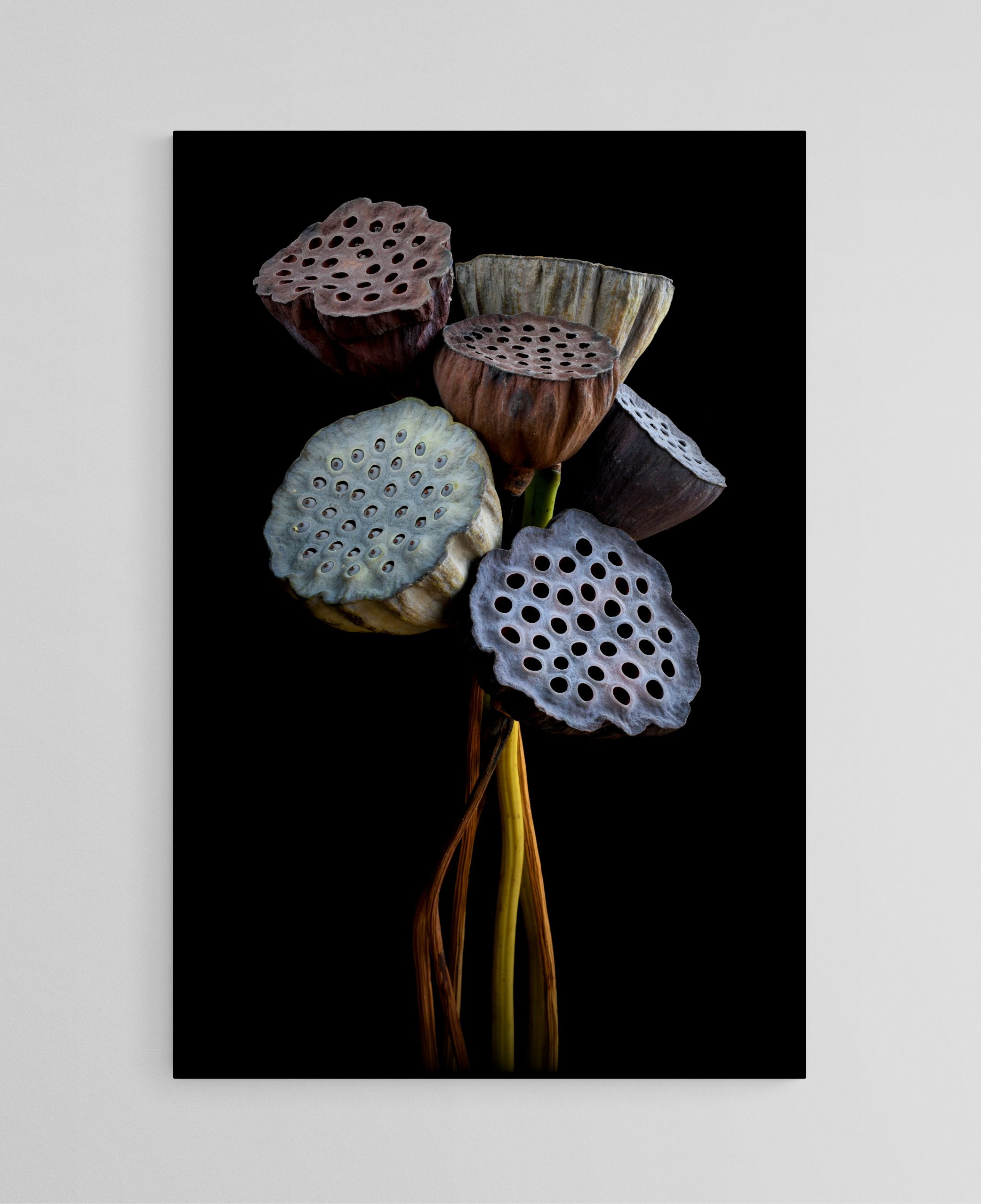 Empty Room 2025 02 12t154525.864