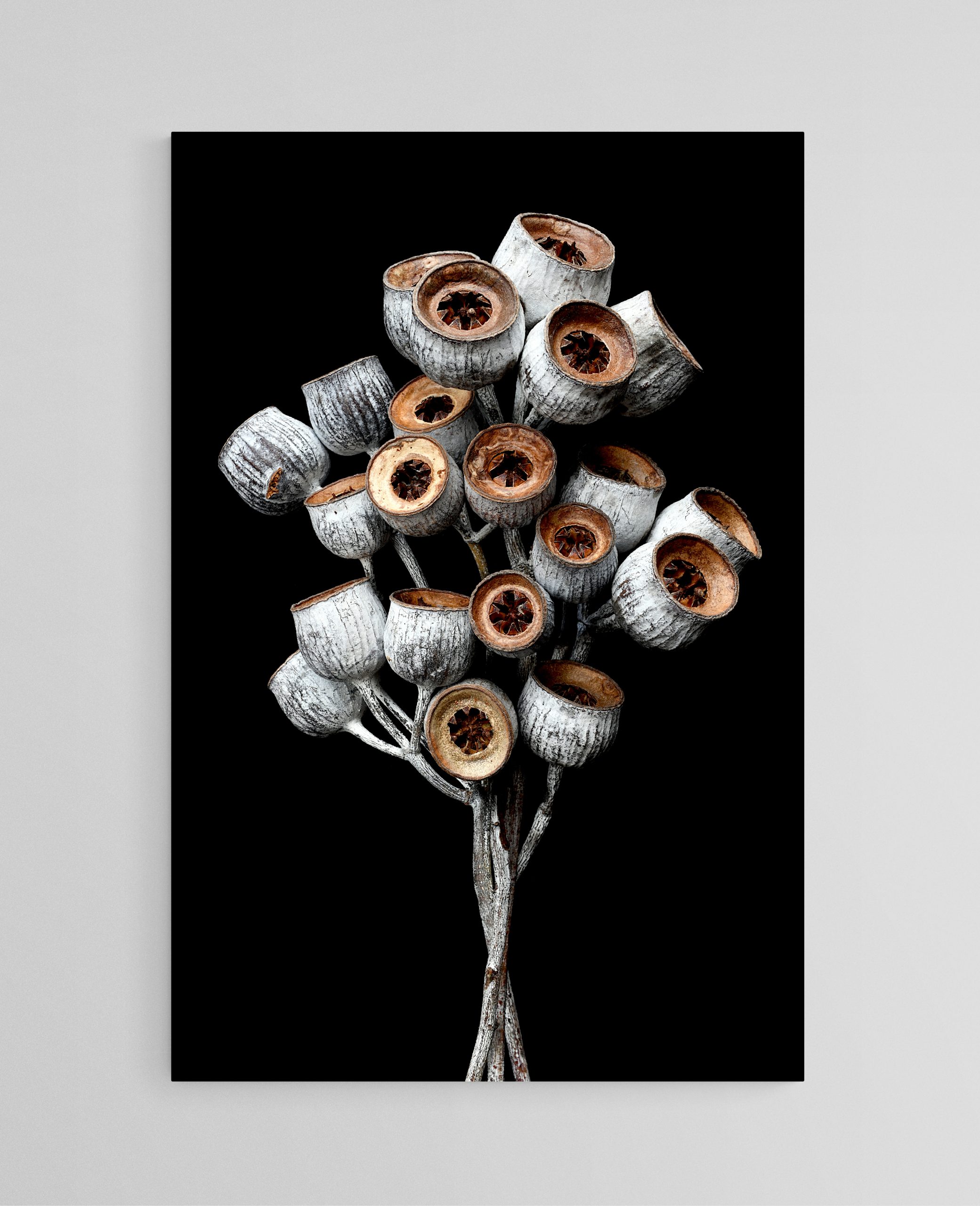 Empty Room 2025 02 22t181640.541