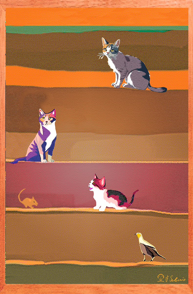 Street Urban Art Collection Number 490 Web 2