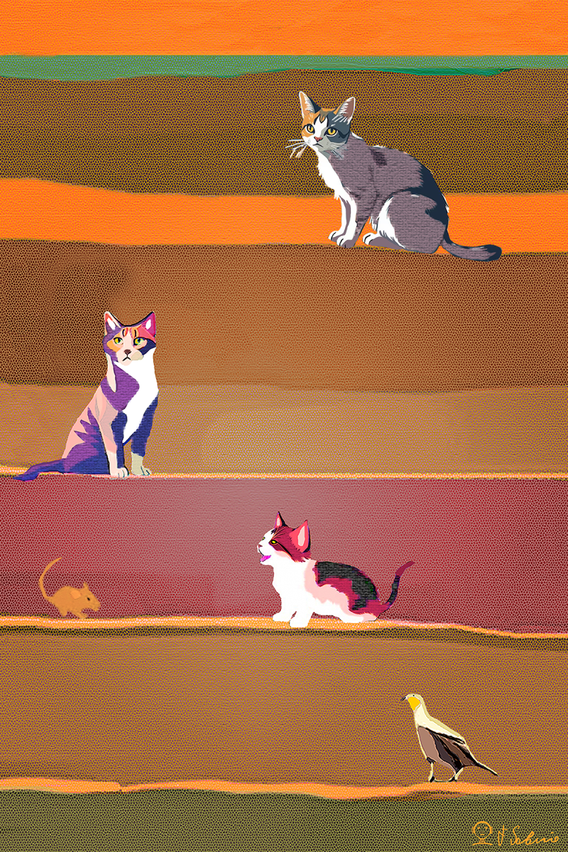 Street Urban Art Collection Number 490