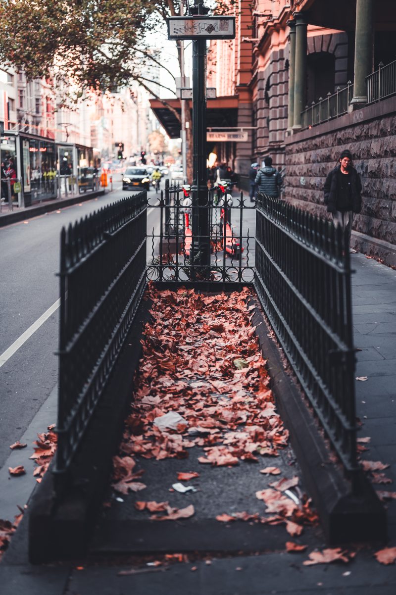 Melbourne Autumn No 1 Ltd Ed Print