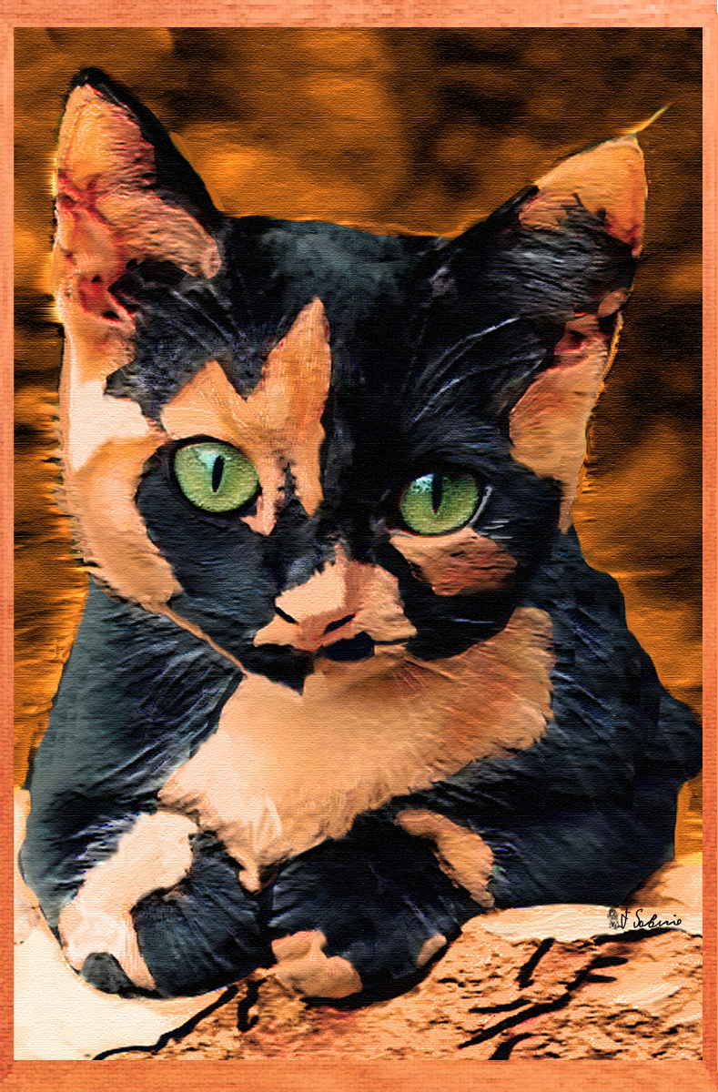 Street Urban Art Collection Number 492 Web 2