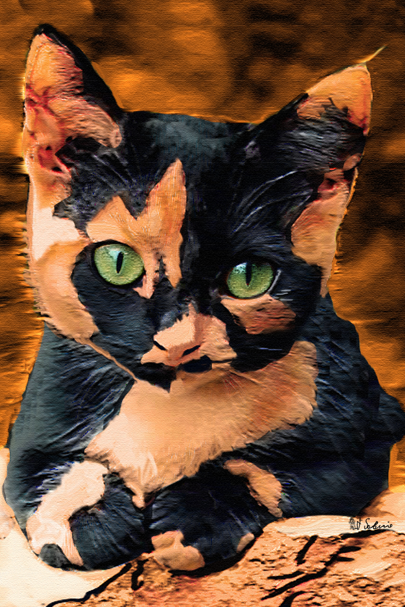 Street Urban Art Collection Number 492