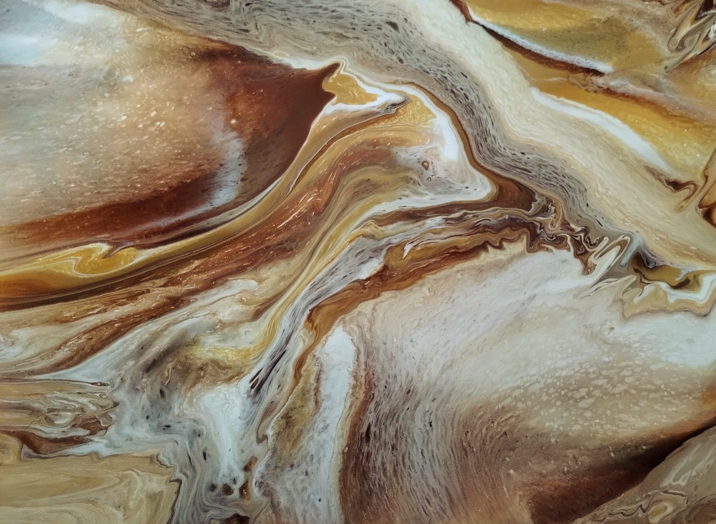 Img 20250306 100900248~5