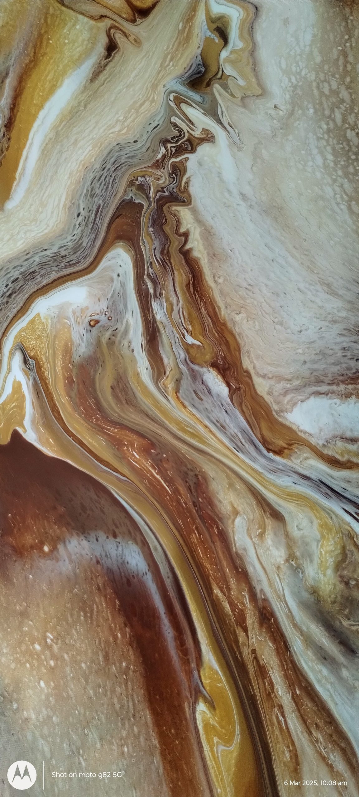 Img 20250306 100856252~2