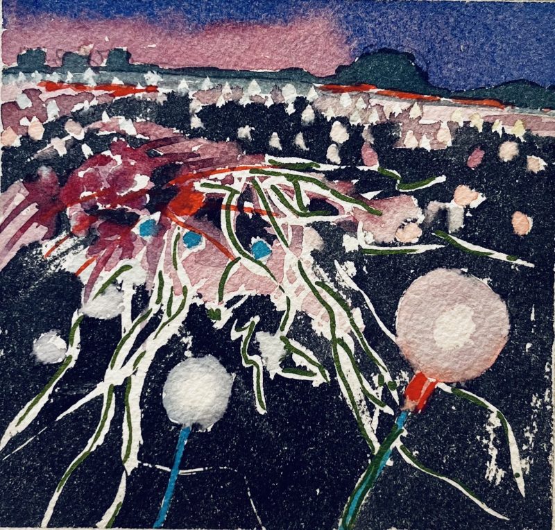 Field of Light Uluru 2