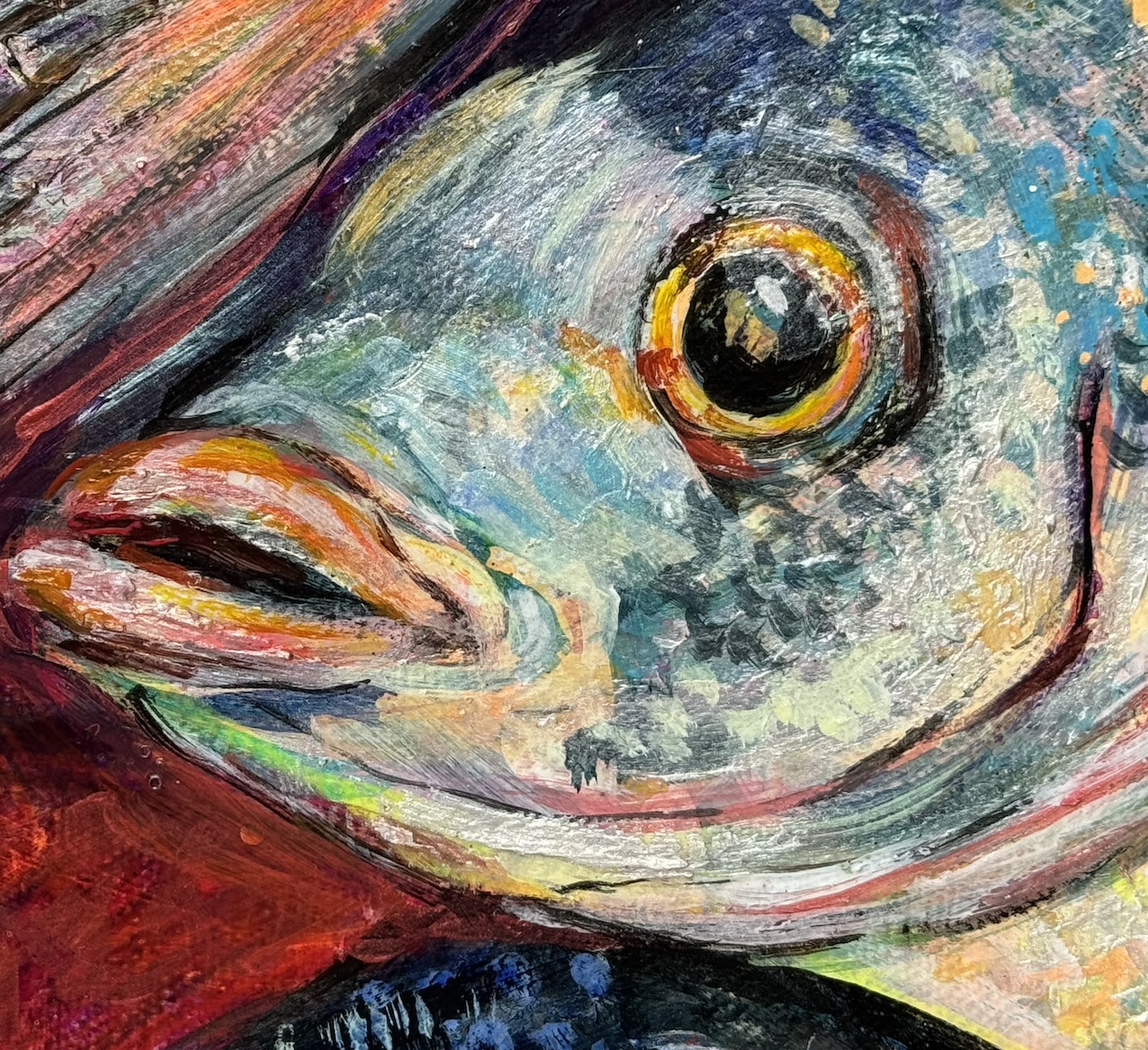 Catchofthe Day Detail Copy