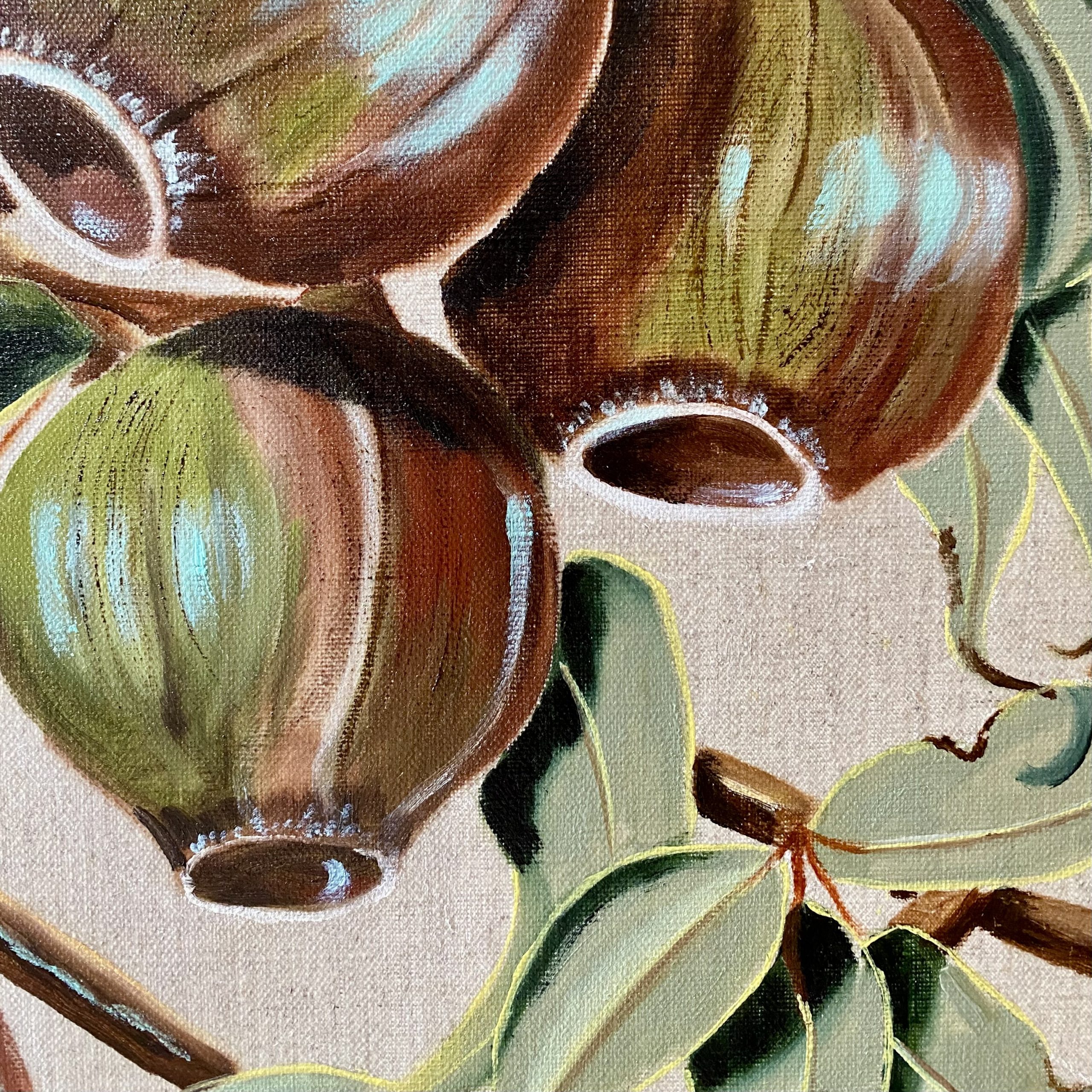 Gum Nut Harvest Closeup1 Wendy Peters