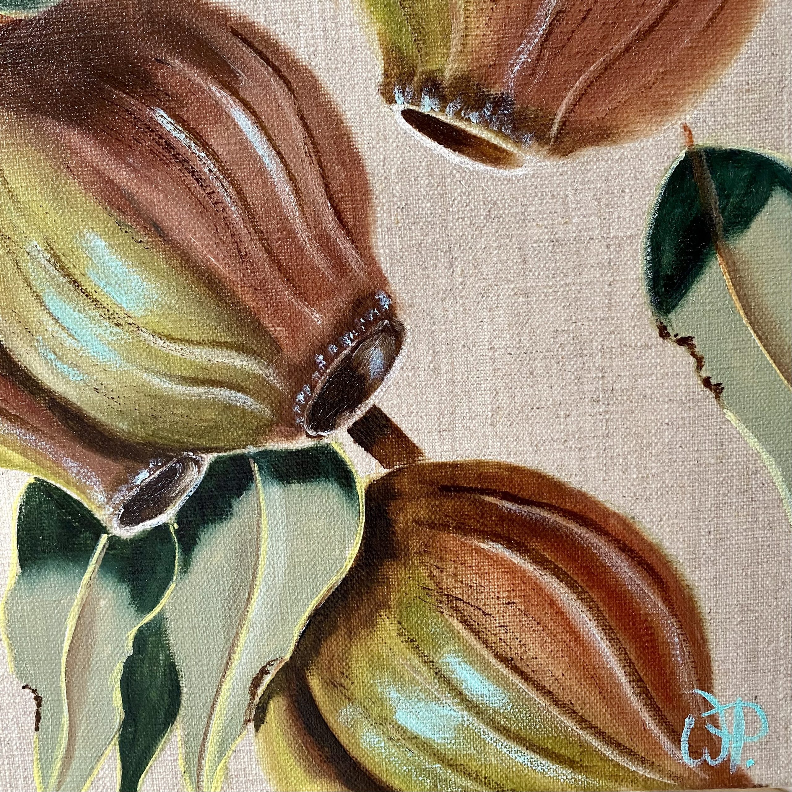 Gum Nut Harvest Closeup2 Wendy Peters