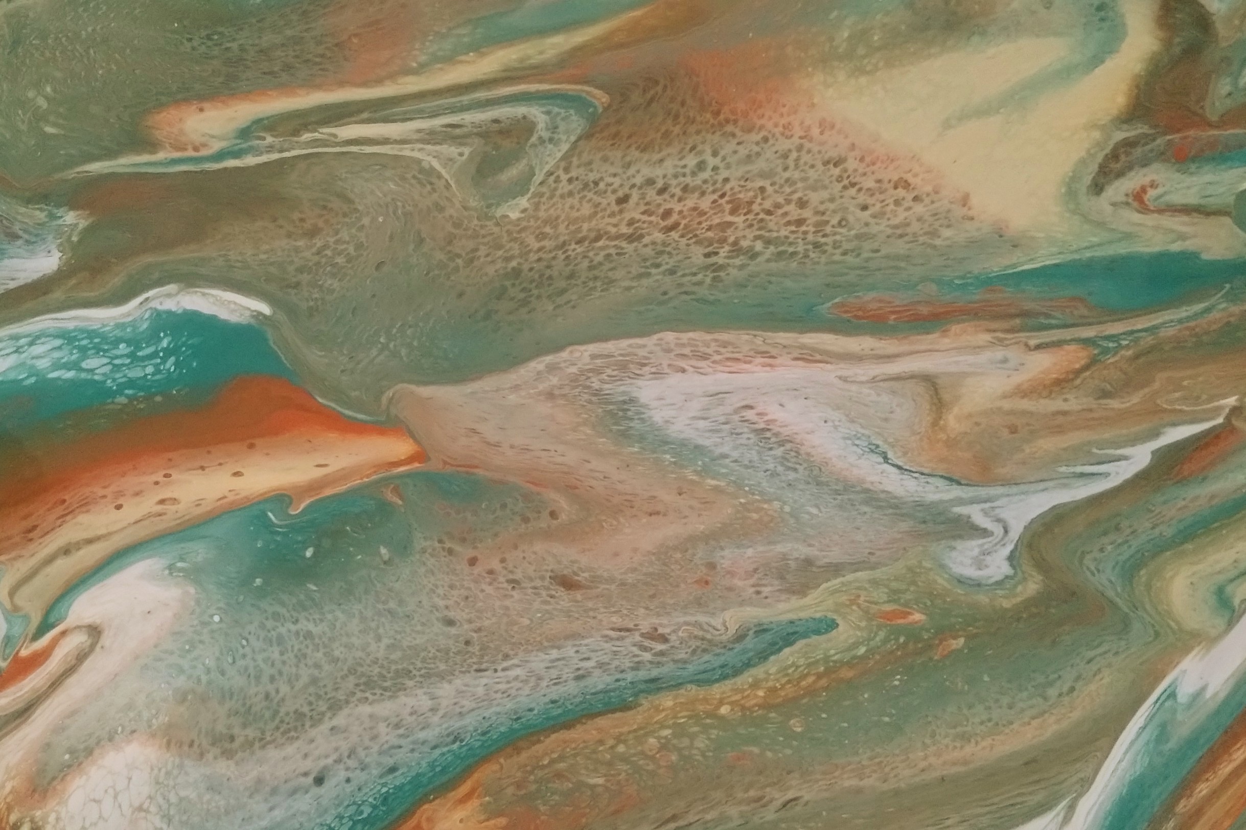 Img 20250309 081916806~3